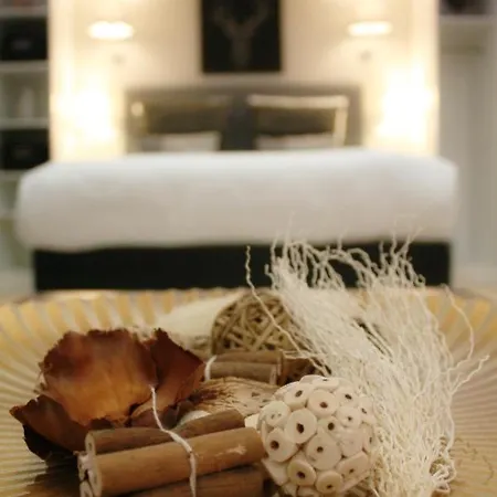 Chabanettes Hotel&spa Hotel *
